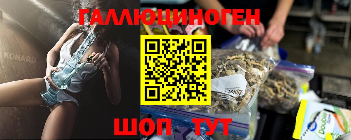 Галлюциногенные грибы Psilocybe  Вход с VPN  Черногорск 