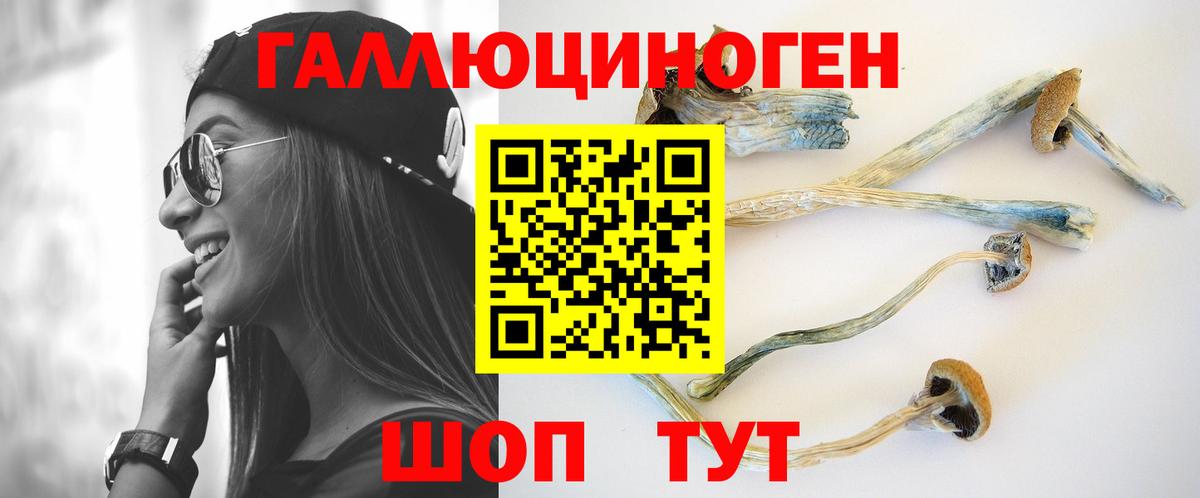 Псилоцибиновые грибы GOLDEN TEACHER Черногорск